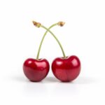 fruit slots