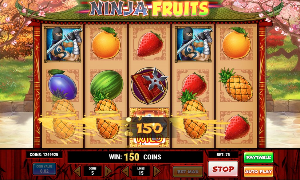 Ninja Fruits slot by Play'n GO