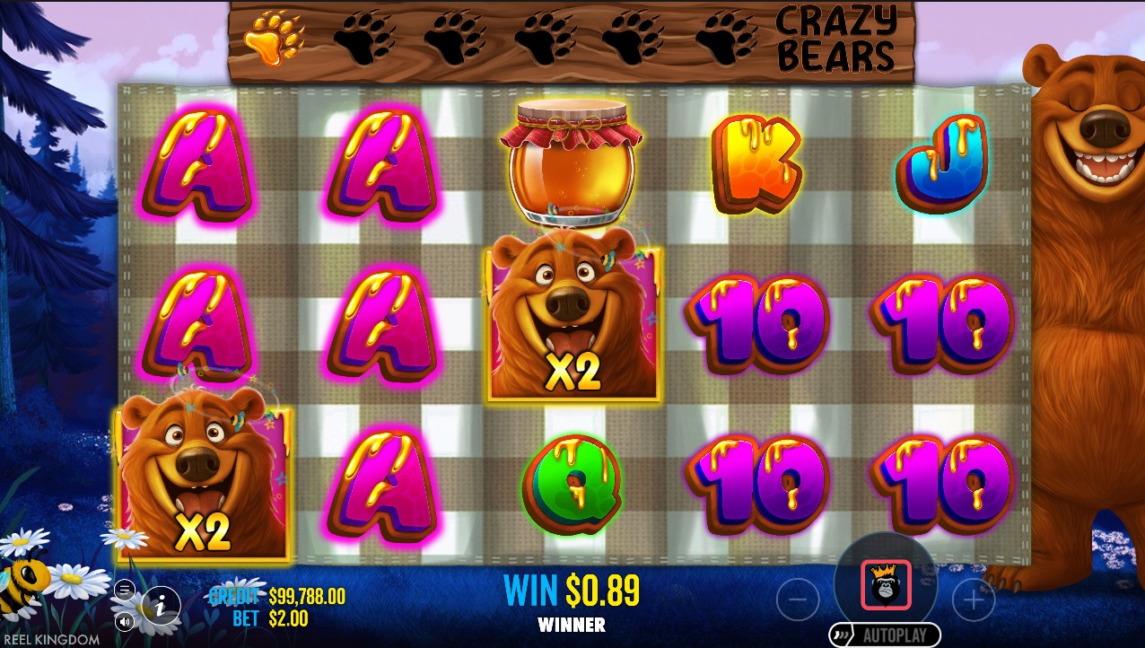 Bear Crazy slot gameplay